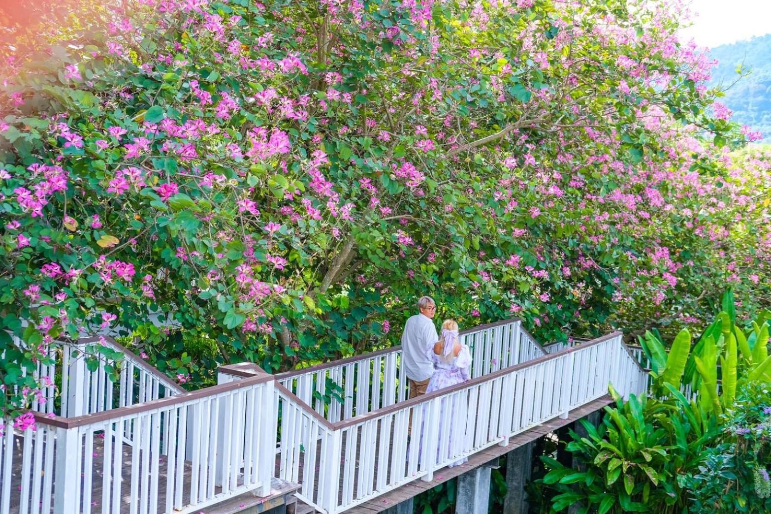 Отель Vivace Khaoyai Му-Си Экстерьер фото